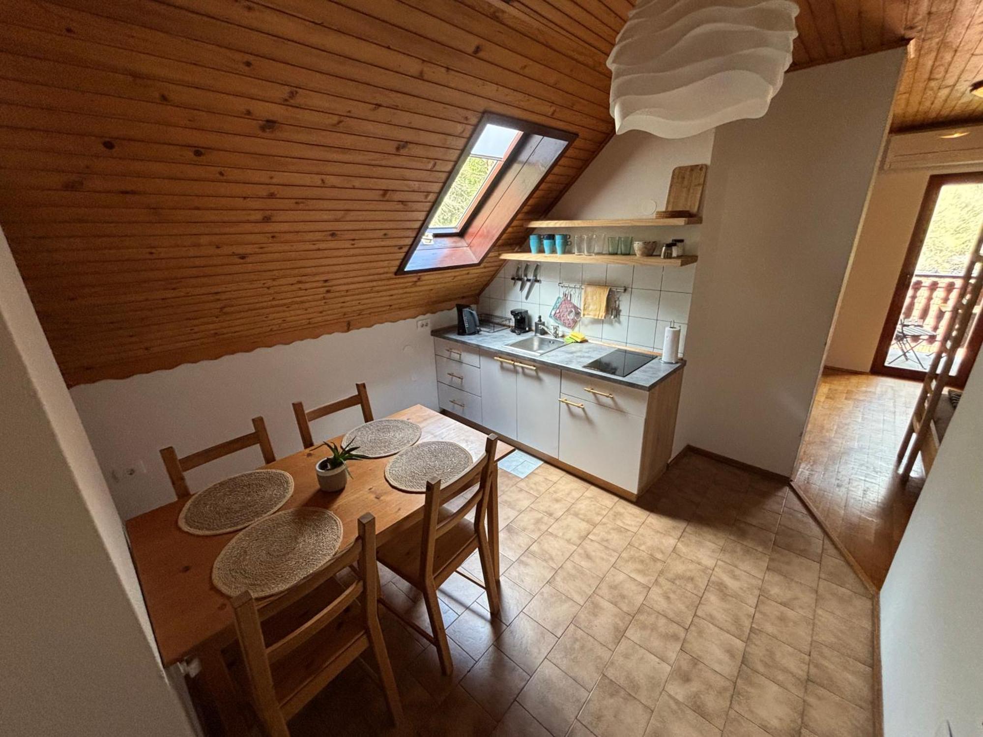 Hisa Patricija Apartment Soca Luaran gambar
